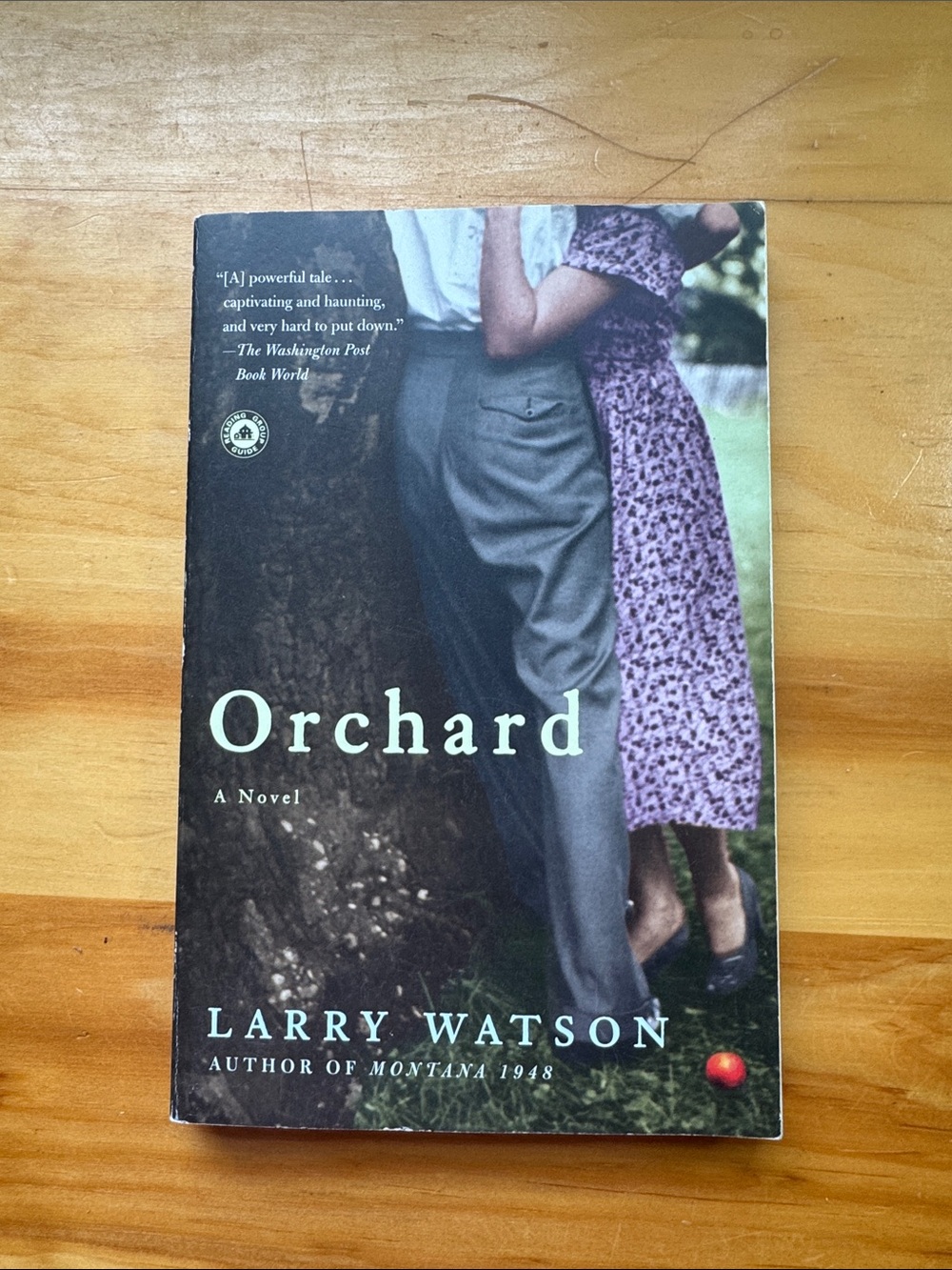 🌈2/$8 Orchard: A Novel